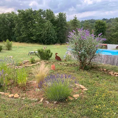 Les Orchidees Holiday home