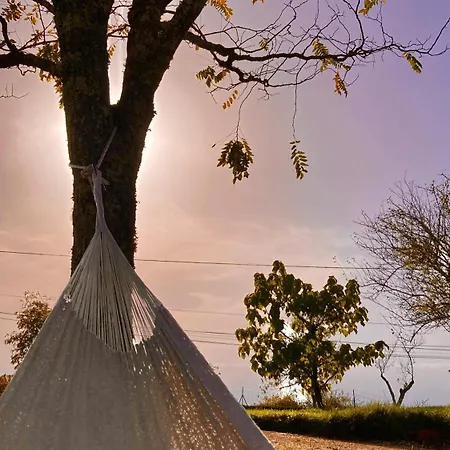 別荘 Les Orchidees Savignac-de-Miremont