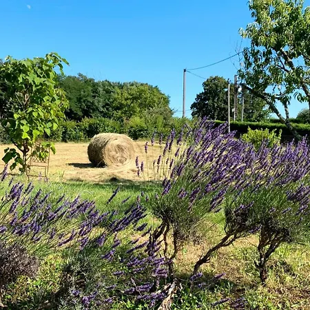 別荘 Les Orchidees *