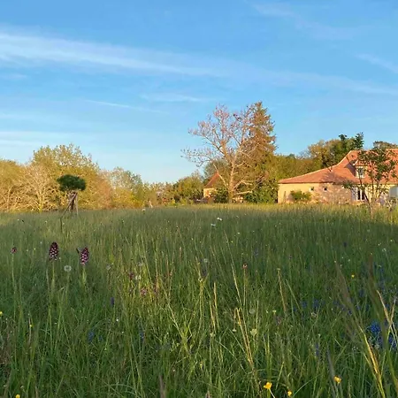 Les Orchidees * Savignac-de-Miremont