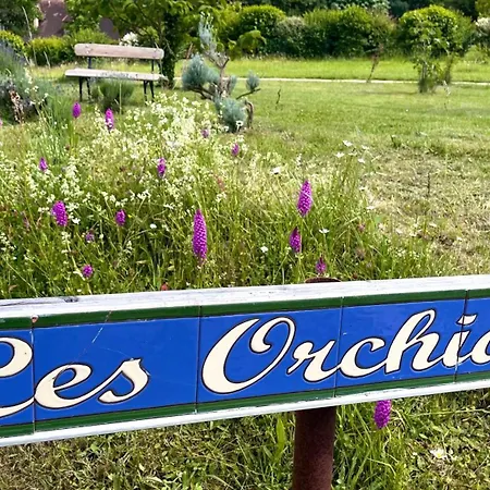 Les Orchidees Savignac-de-Miremont