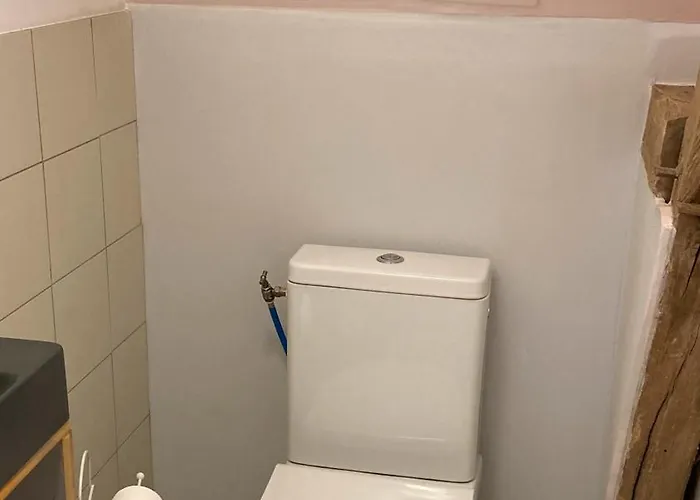 別荘 Les Orchidees Savignac-de-Miremont