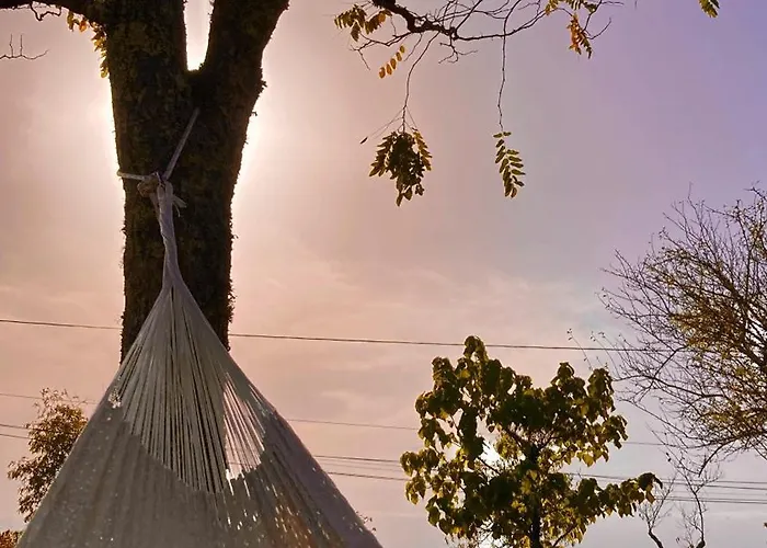 別荘 Les Orchidees Savignac-de-Miremont