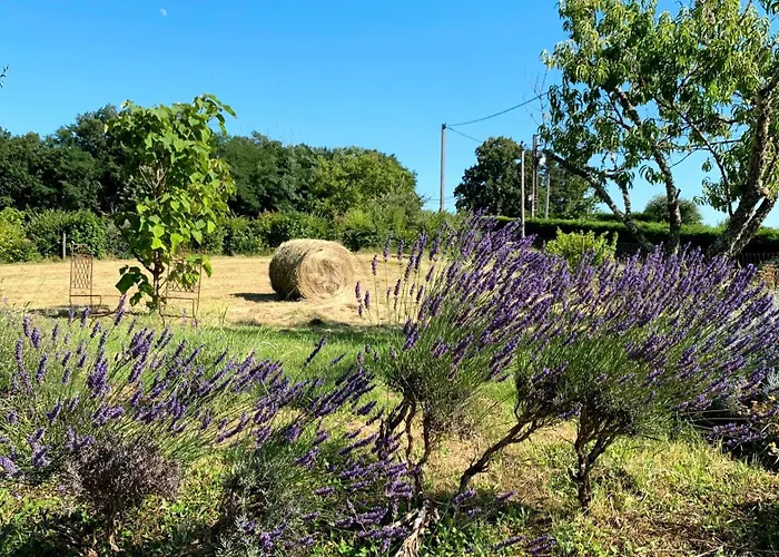 Holiday home Les Orchidees *