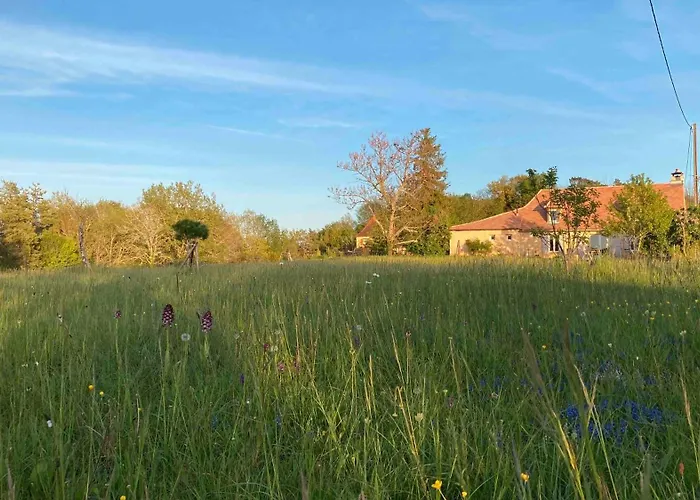 Les Orchidees * Savignac-de-Miremont